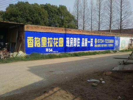 临武墙体广告对比传统广告媒介的优势在哪里