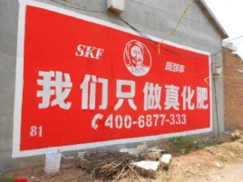 临武刷墙广告”蕴含了时代命题