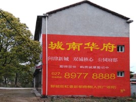 临武百分之90的人都不了解的农村墙体广告