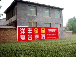 临武如何让墙体广告展现最大化效果