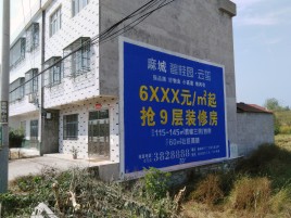 临武墙体广告质量分析