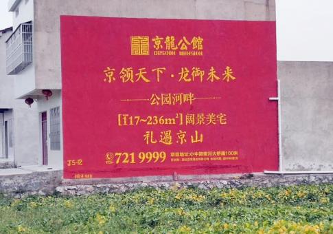 临武墙体广告发布的关键问题