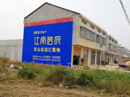 临武农村墙体广告在不同形式上面展现的不同特色
