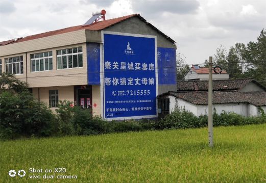 临武决定墙体广告价格的因素有哪些？