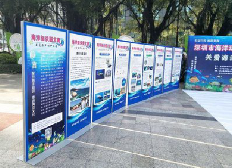 临武KT板的种类和知识。